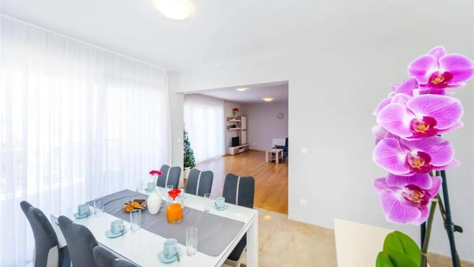 My Dalmatia Apartment Zadar Croatia
